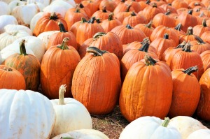 Take advantage of the season with favorite fall activities.